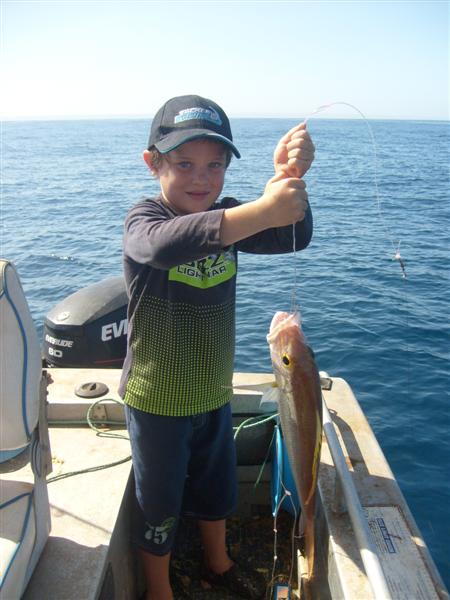 Alex' first goldband snapper